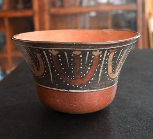 Gorgeous Authentic Nazca Culture bowl (BC 250-125 AD)- displaying plant or crop -Stunning! Southern Coast Peru